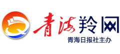 青海羚网logo